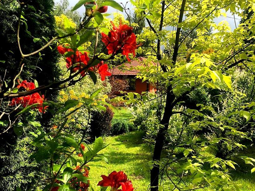 Secret Garden Residence Paszkowka ภายนอก รูปภาพ