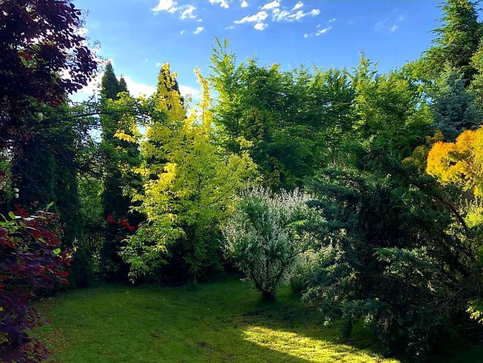Secret Garden Residence Paszkowka ภายนอก รูปภาพ
